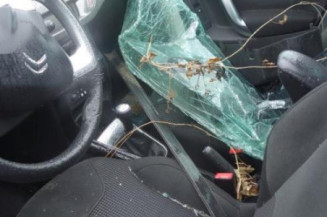 Feu arriere secondaire gauche (feux) CITROEN C3 2