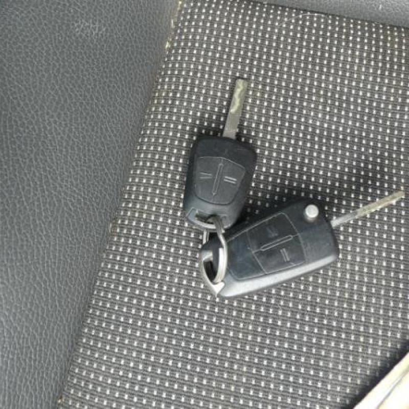 Calandre OPEL ZAFIRA B Photo n°12