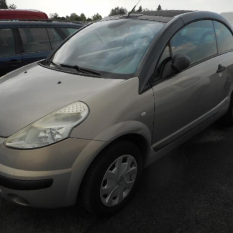Porte avant gauche CITROEN C3 PLURIEL Photo n°3