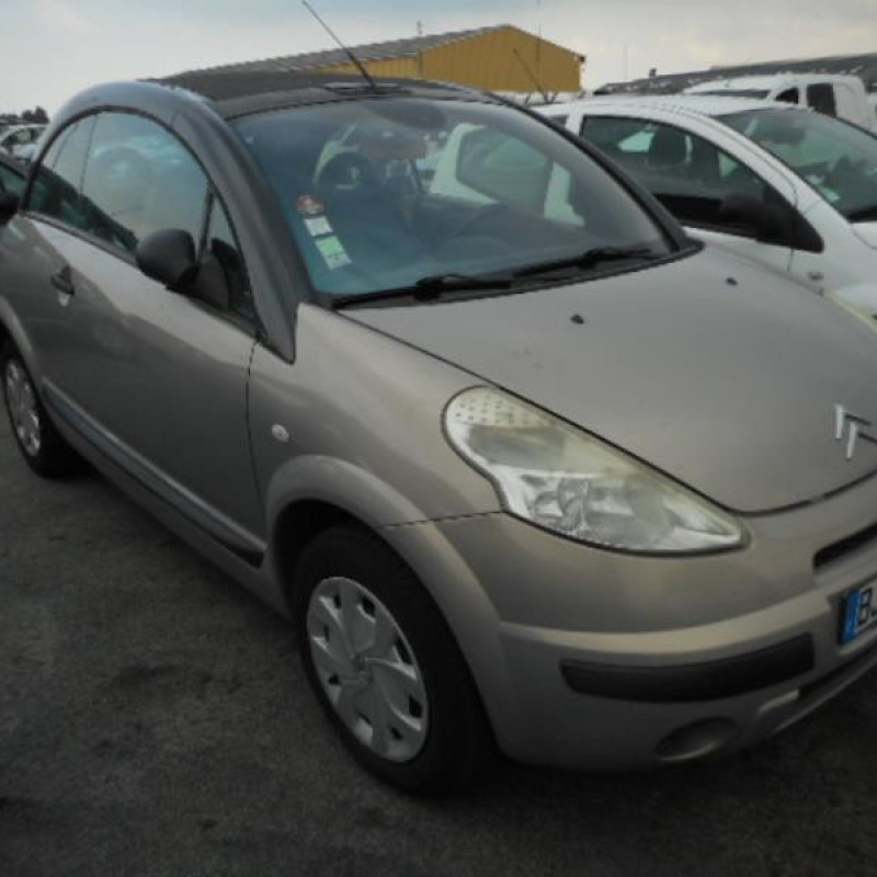 Porte avant gauche CITROEN C3 PLURIEL Photo n°4