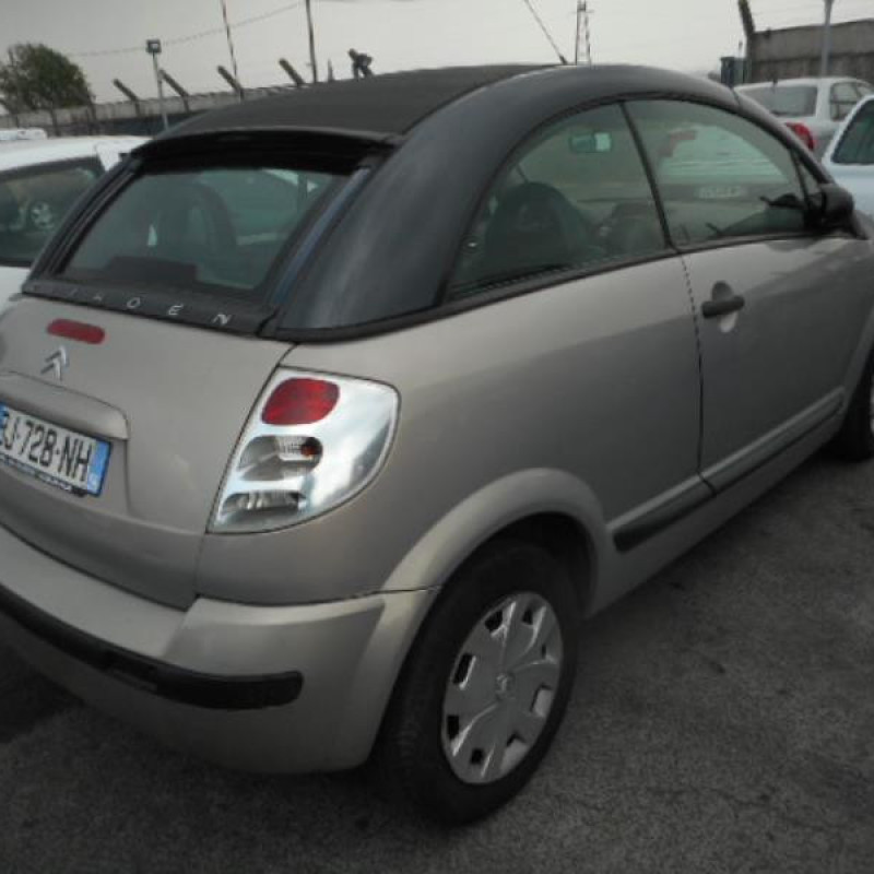 Porte avant gauche CITROEN C3 PLURIEL Photo n°5