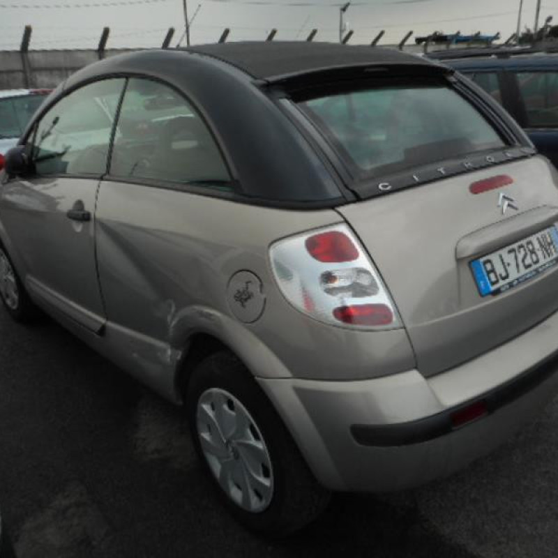 Porte avant gauche CITROEN C3 PLURIEL Photo n°6