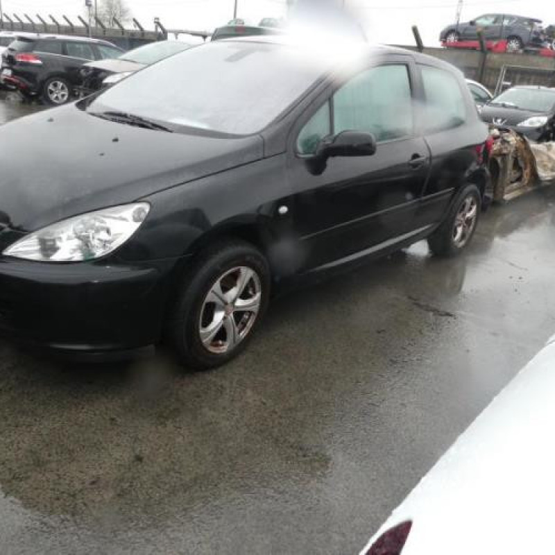 Porte avant gauche PEUGEOT 307 Photo n°3