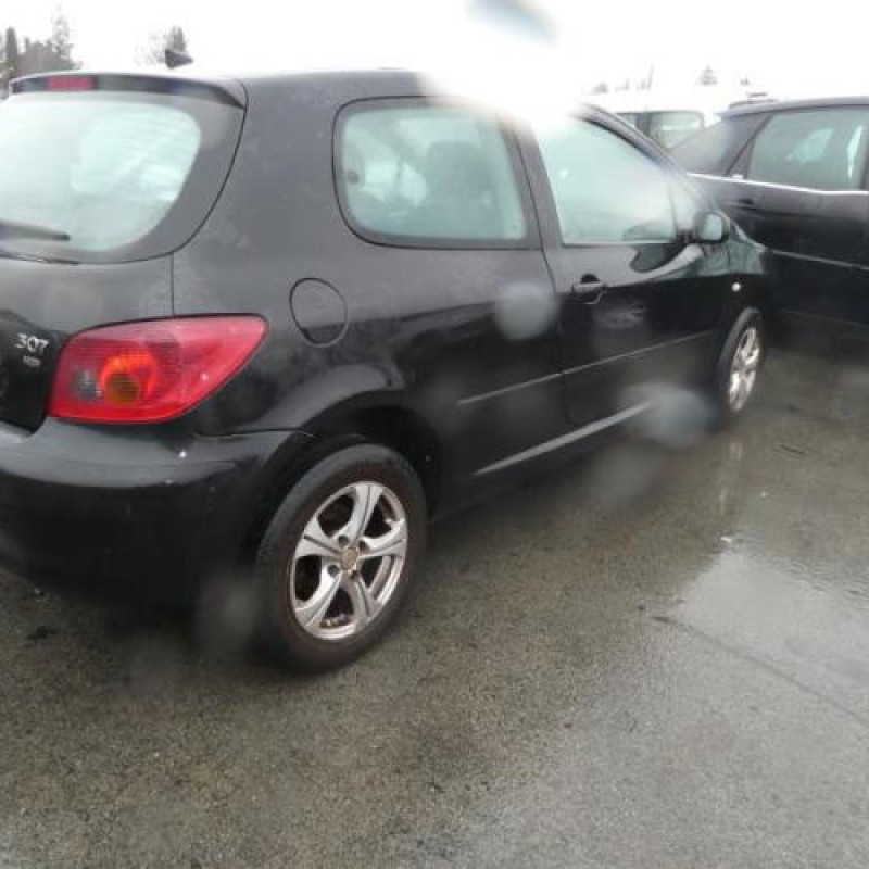 Porte avant gauche PEUGEOT 307 Photo n°5