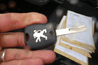 Porte avant gauche PEUGEOT 307