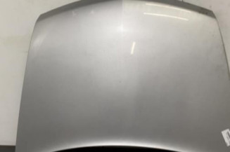 Capot RENAULT VEL SATIS Photo n°1