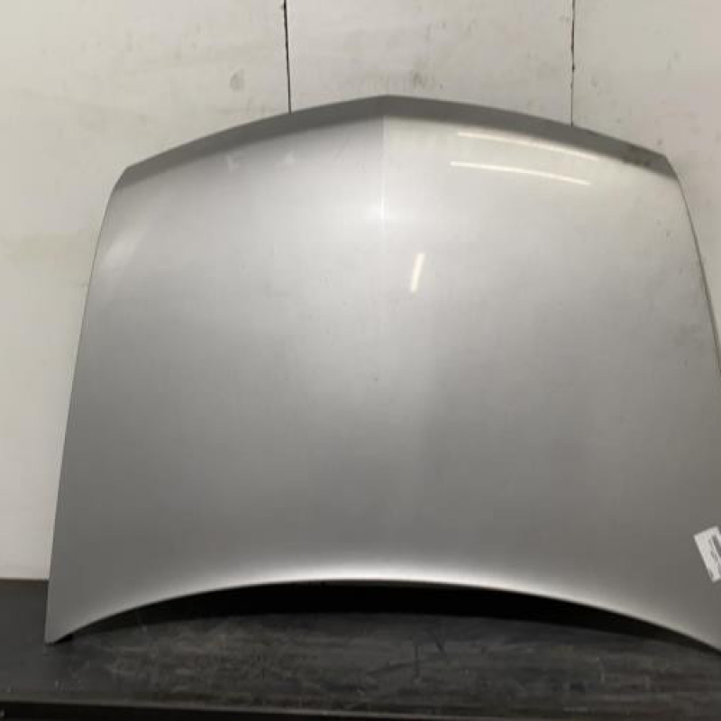Capot RENAULT VEL SATIS Photo n°1
