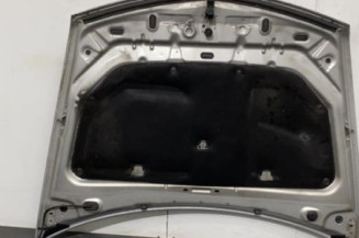 Capot RENAULT VEL SATIS