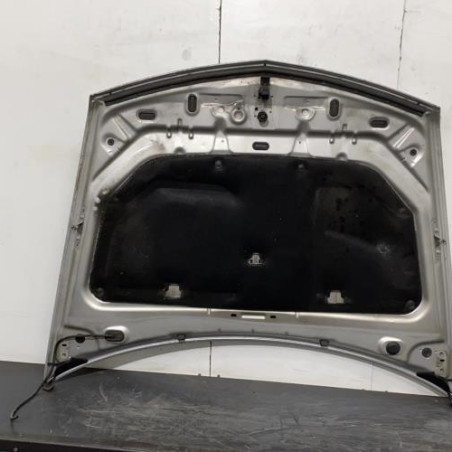 Capot RENAULT VEL SATIS