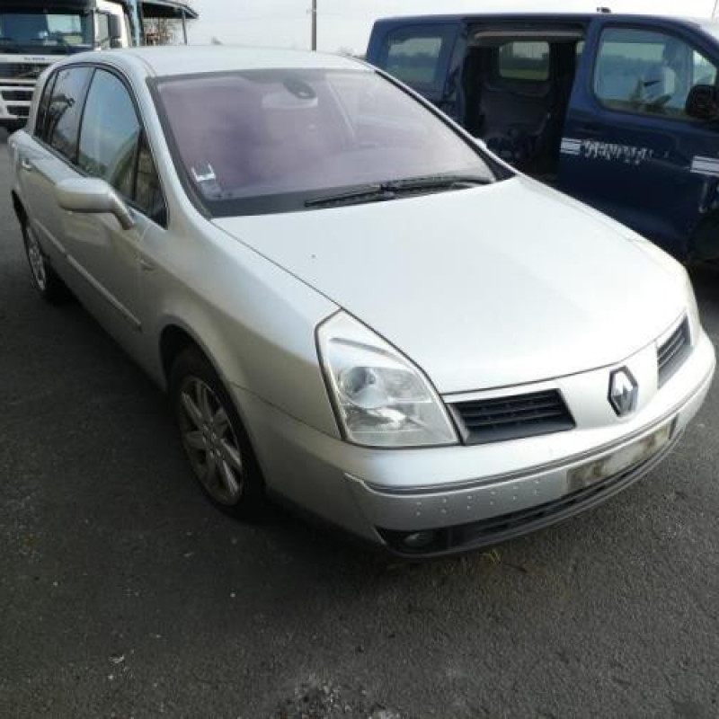 Porte arriere gauche RENAULT VEL SATIS Photo n°4