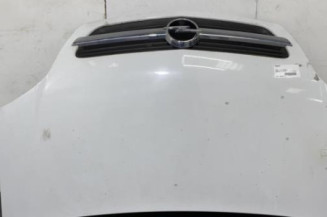 Capot OPEL MERIVA A Photo n°1