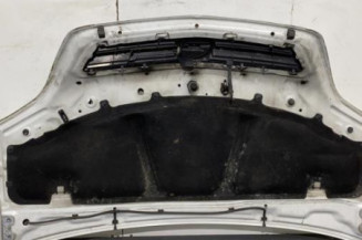 Capot OPEL MERIVA A