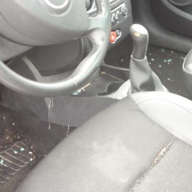 Capot RENAULT CLIO 3 Photo n°9