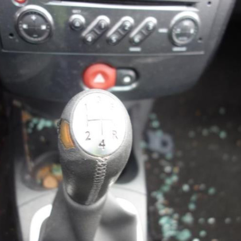 Capot RENAULT CLIO 3 Photo n°12