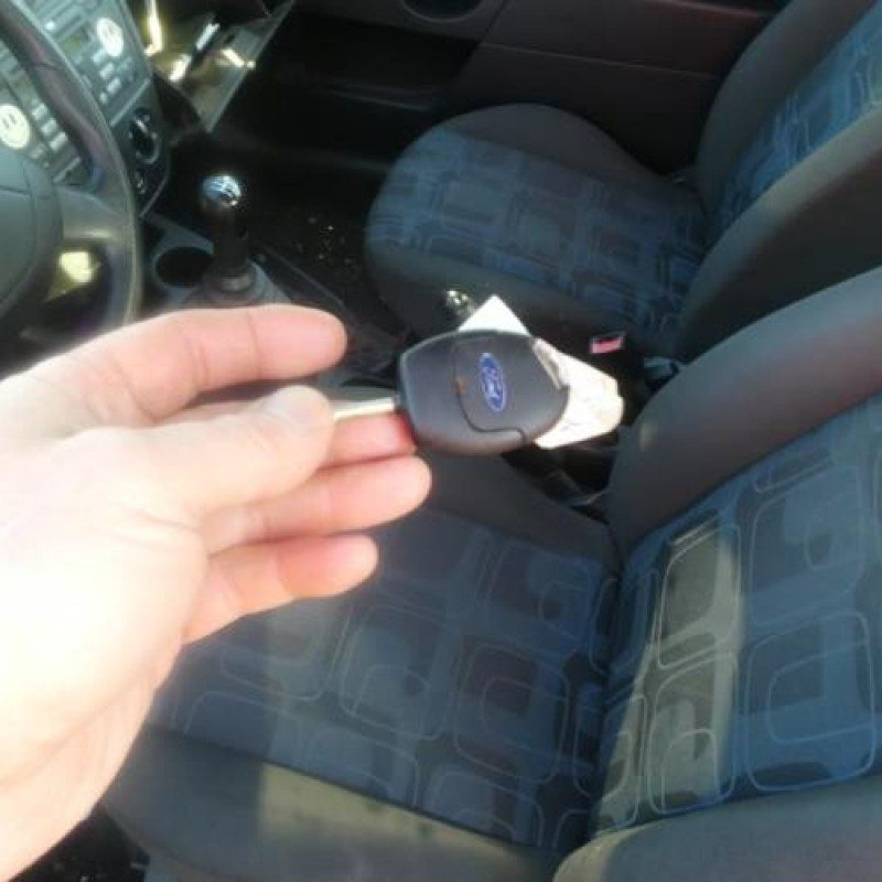 Porte avant droit FORD FIESTA 5 Photo n°12