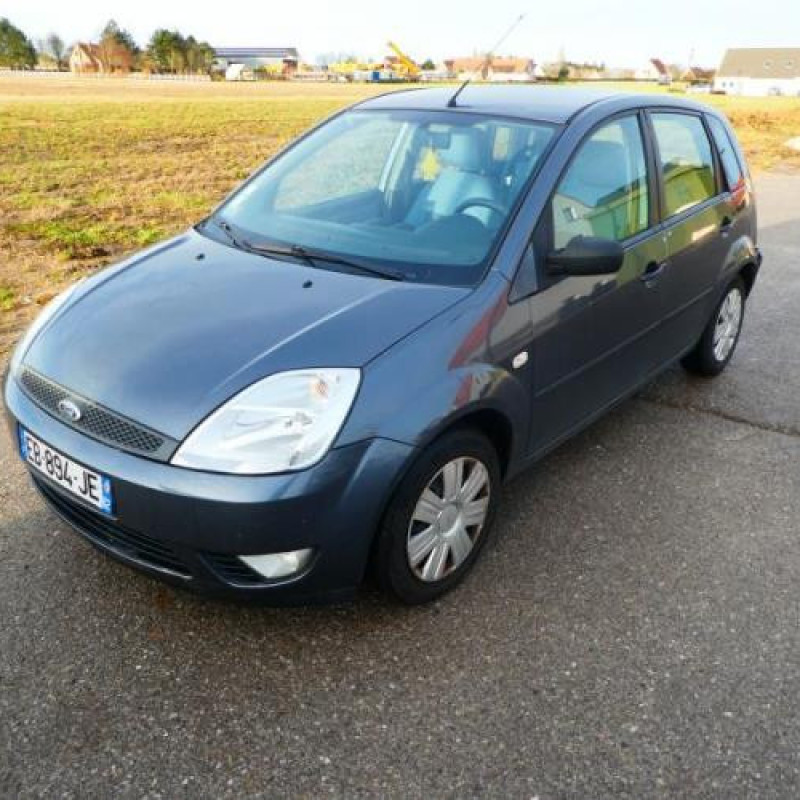 Porte avant gauche FORD FIESTA 5 Photo n°4