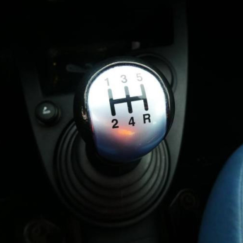 Porte avant gauche FORD FIESTA 5 Photo n°10
