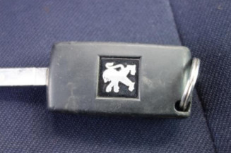 Capot PEUGEOT 1007