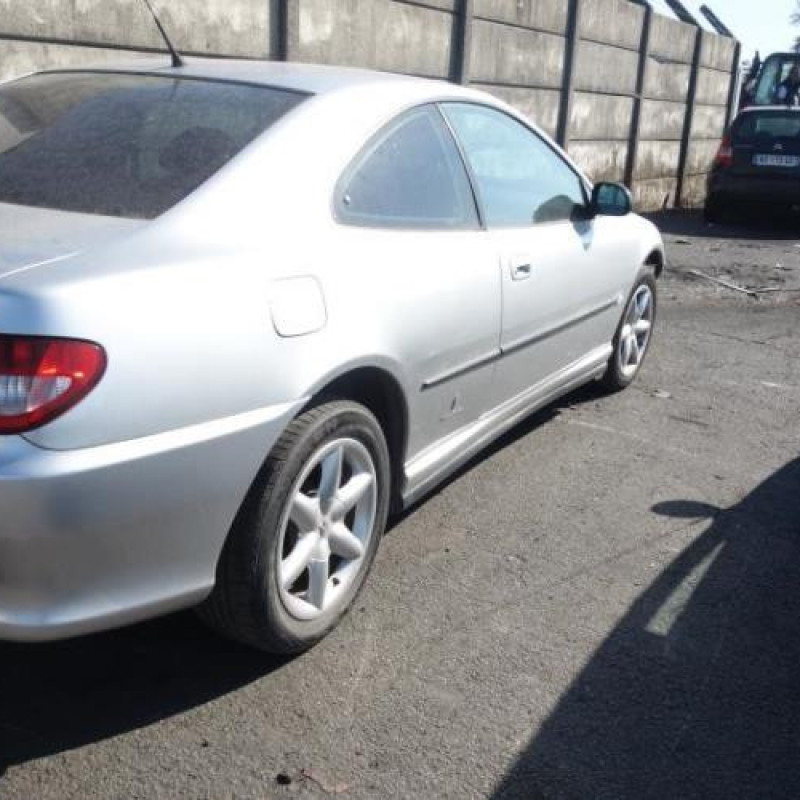 Porte avant droit PEUGEOT 406 Photo n°7