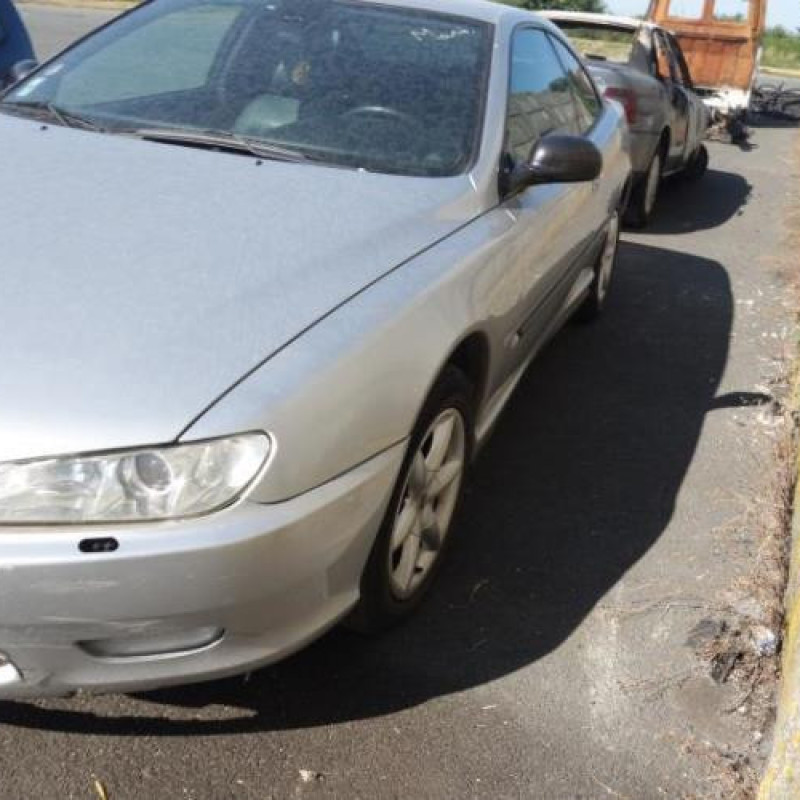 Porte avant droit PEUGEOT 406 Photo n°9