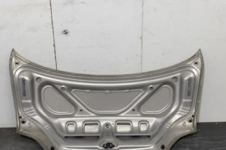 Malle/Hayon arriere HYUNDAI LANTRA 2