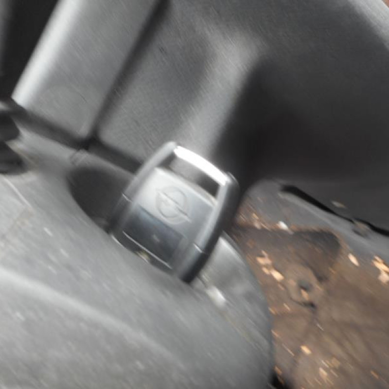 Porte arriere gauche OPEL ASTRA G Photo n°9