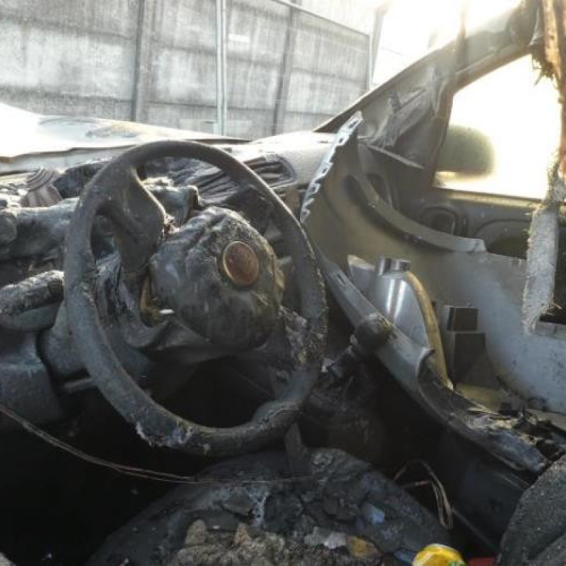 Cremaillere assistee FIAT PANDA 3 Photo n°5
