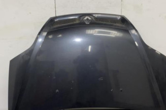 Capot RENAULT SCENIC 1 Photo n°1