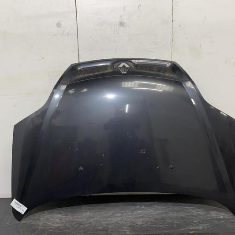 Capot RENAULT SCENIC 1 Photo n°1