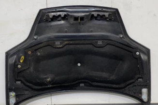 Capot RENAULT SCENIC 1