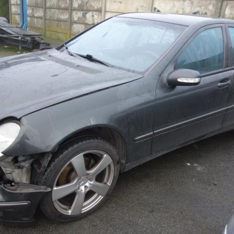 Porte arriere gauche MERCEDES CLASSE C 203 Photo n°3