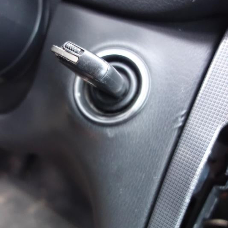 Porte arriere gauche MERCEDES CLASSE C 203 Photo n°10