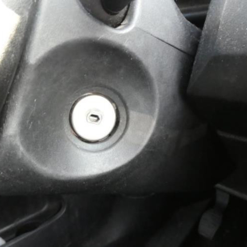 Porte avant droit FORD FIESTA 5 Photo n°11