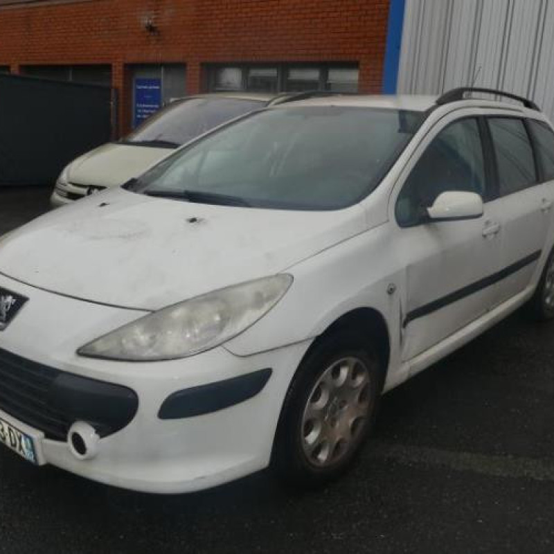 Porte arriere gauche PEUGEOT 307 Photo n°3