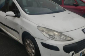 Porte arriere gauche PEUGEOT 307