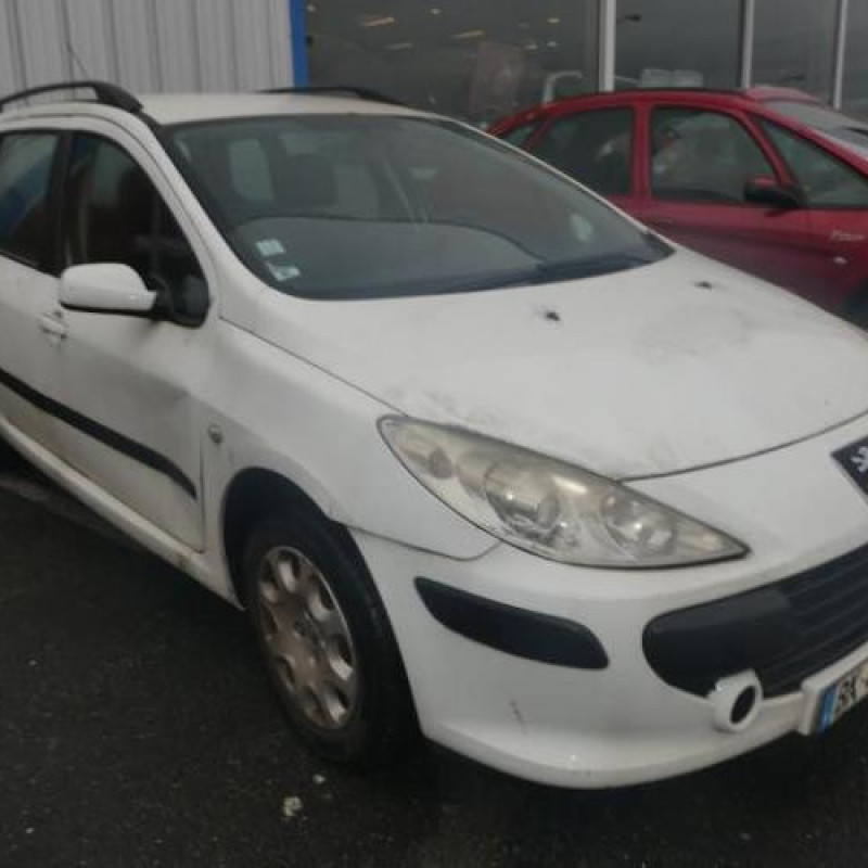 Porte arriere gauche PEUGEOT 307 Photo n°4