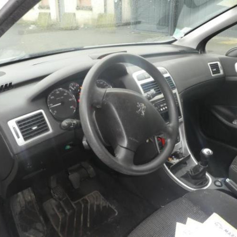 Porte arriere gauche PEUGEOT 307 Photo n°7