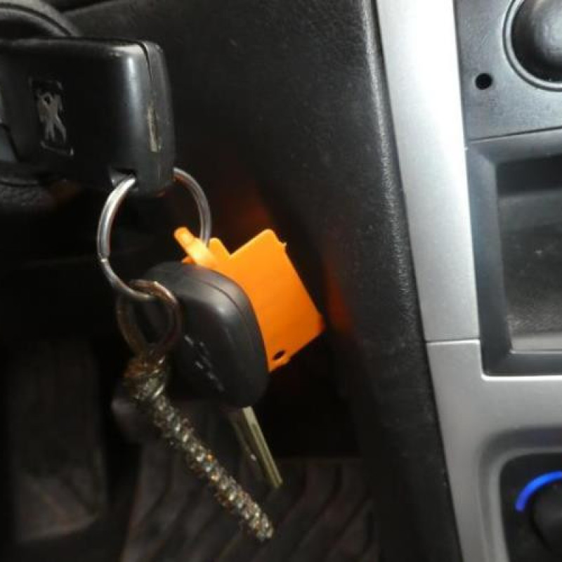 Porte arriere gauche PEUGEOT 307 Photo n°13