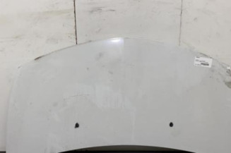 Capot RENAULT CLIO 3 Photo n°1
