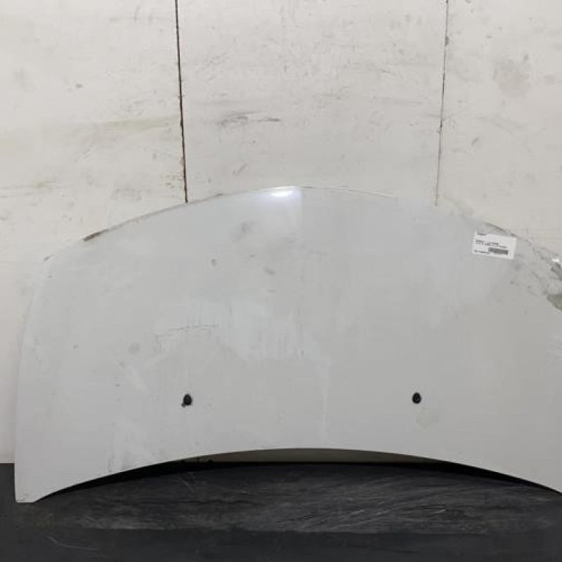 Capot RENAULT CLIO 3 Photo n°1