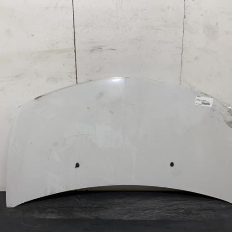 Capot RENAULT CLIO 3 Photo n°1