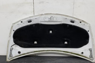 Capot RENAULT CLIO 3