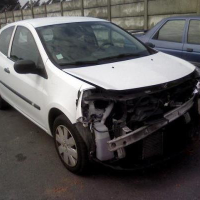 Capot RENAULT CLIO 3 Photo n°3