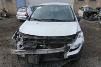 Capot RENAULT CLIO 3