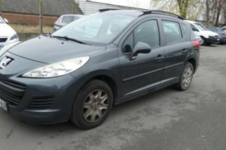 Porte arriere gauche PEUGEOT 207