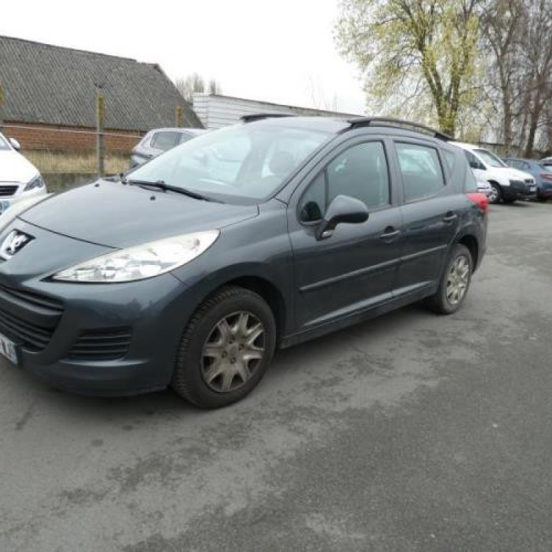 Porte arriere gauche PEUGEOT 207 Photo n°3