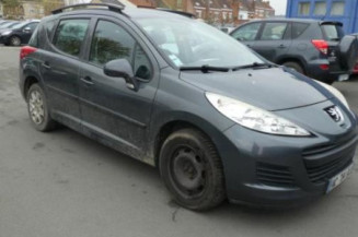 Porte arriere gauche PEUGEOT 207