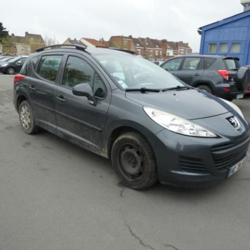 Porte arriere gauche PEUGEOT 207 Photo n°4