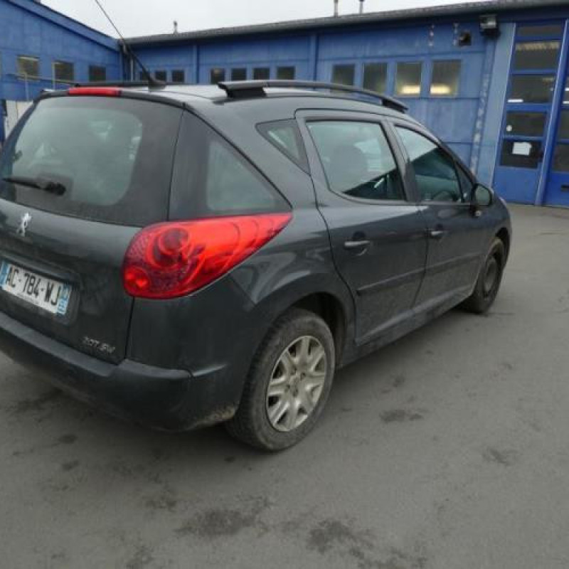 Porte arriere gauche PEUGEOT 207 Photo n°5