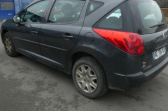 Porte arriere gauche PEUGEOT 207